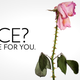 Illustration for article titled The Online Culture of Niceness Doesnt Extend to the Ladies
